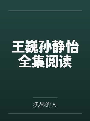 王巍孙静怡全集阅读